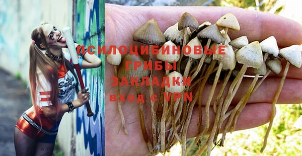 не бодяженный Магас
