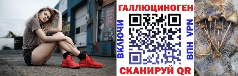 Купить закладки  Островной  Галлюциногенные грибы Magic Shrooms 